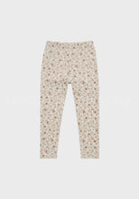 Load image into Gallery viewer, Leverier Set