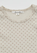 Load image into Gallery viewer, Herschel Set