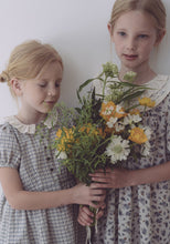 Load image into Gallery viewer, Lucie Dress