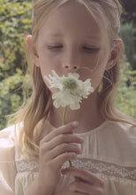 Load image into Gallery viewer, Sevigny Dress
