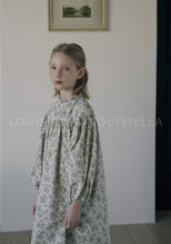 Load image into Gallery viewer, Laspe Dress