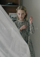 Load image into Gallery viewer, Sharuel Dress