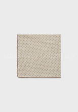 Load image into Gallery viewer, Herschel Scarf