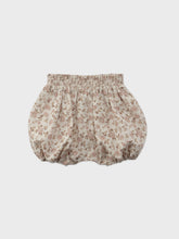 Load image into Gallery viewer, Baby Protea Bloomer