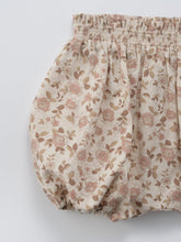 Load image into Gallery viewer, Baby Protea Bloomer