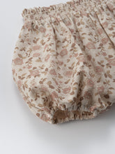 Load image into Gallery viewer, Baby Protea Bloomer