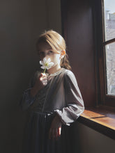 Load image into Gallery viewer, Ande Velvet Dress