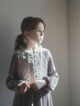 Load image into Gallery viewer, Ande Velvet Dress