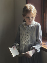 Load image into Gallery viewer, Ande Velvet Dress