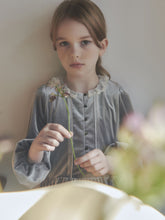 Load image into Gallery viewer, Ande Velvet Dress