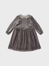 Load image into Gallery viewer, Ande Velvet Dress
