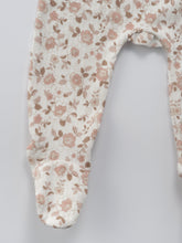 Load image into Gallery viewer, Newborn Protea set