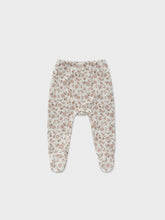 Load image into Gallery viewer, Newborn Protea set