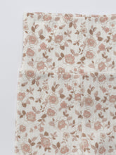 Load image into Gallery viewer, Baby Protea set