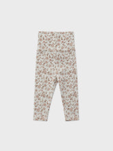 Load image into Gallery viewer, Baby Protea set