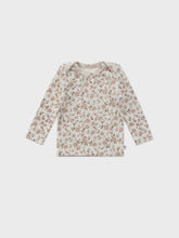 Load image into Gallery viewer, Baby Protea set