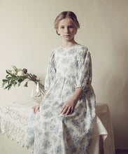 Load image into Gallery viewer, Peony Dress - Blue