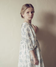 Load image into Gallery viewer, Peony Dress - Blue