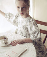 Load image into Gallery viewer, Peony Dress - Gray