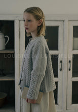 Load image into Gallery viewer, Benjamin Knit Cardigan Pale Blue
