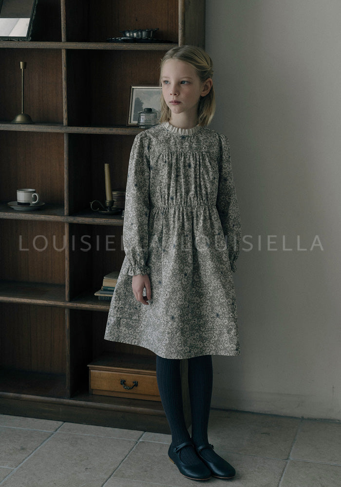 Sharuel Dress