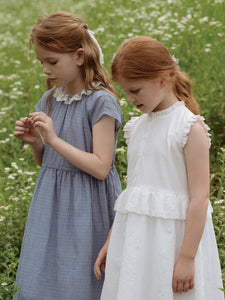 Erian Dress