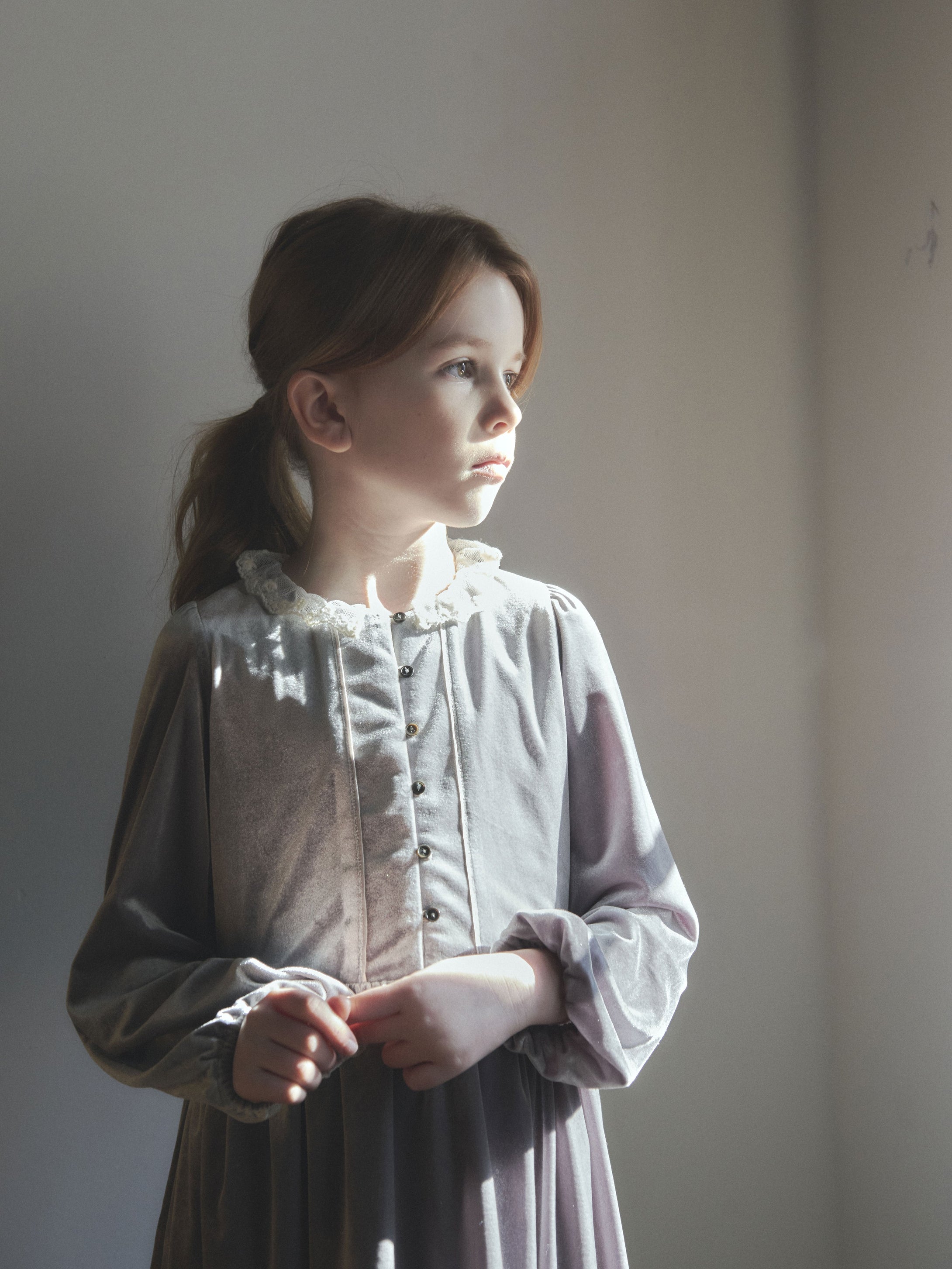Ande Velvet Dress