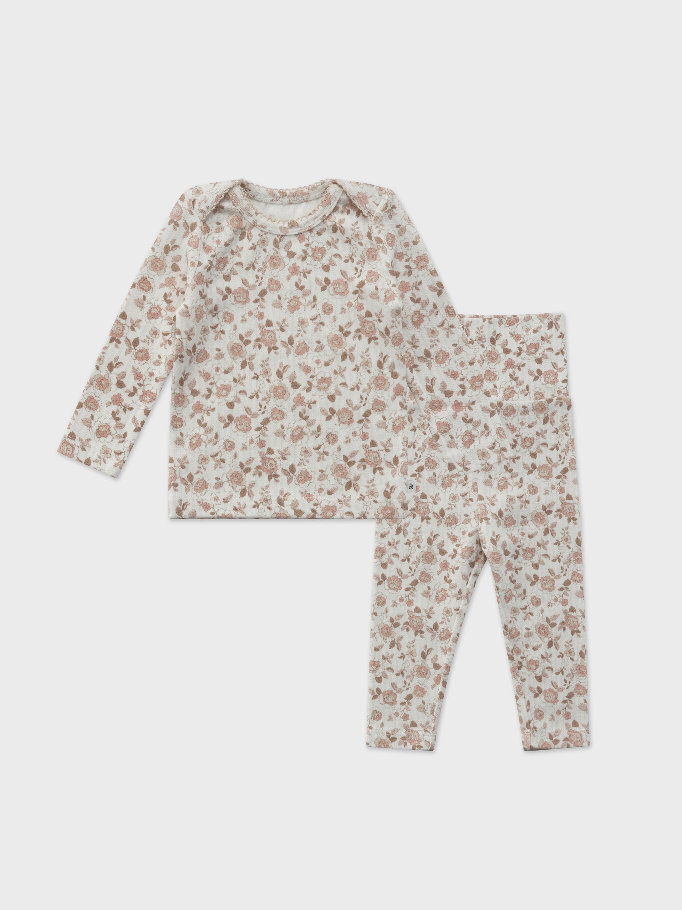 Baby Protea set